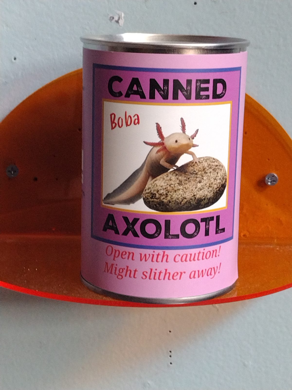 Canned Axolotl Boba — decor (photo 1)